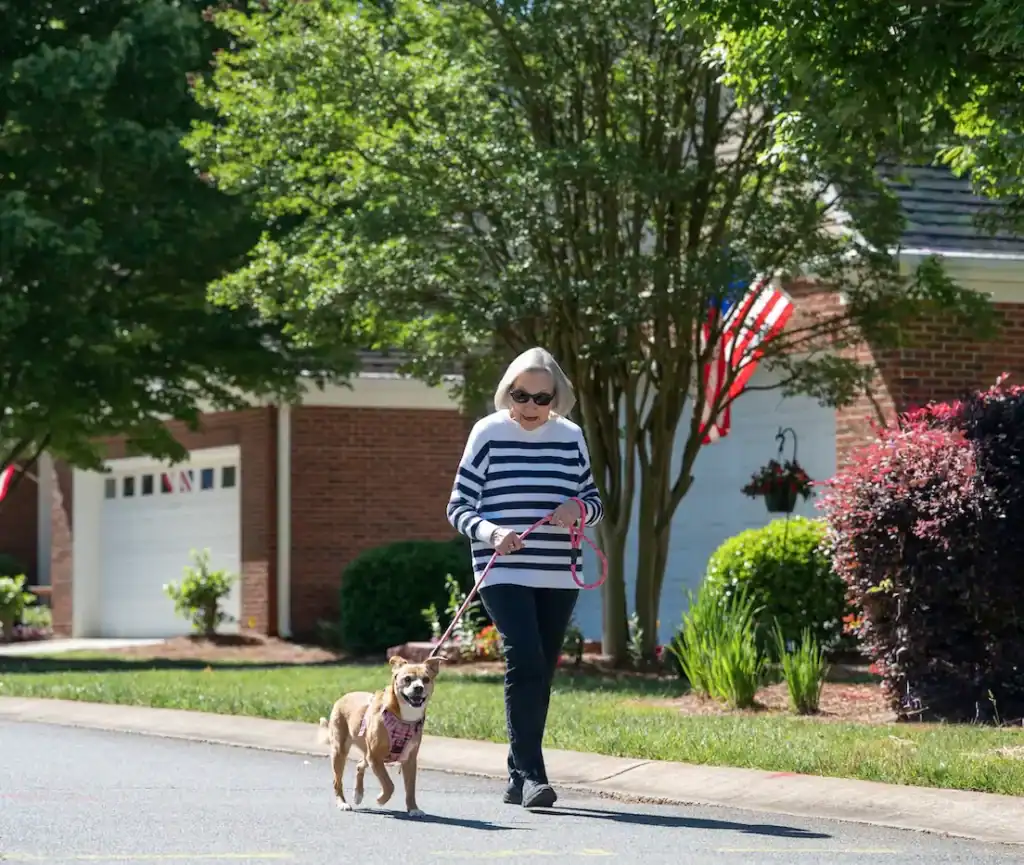 resident walking dog